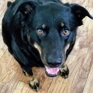 Team Page: Gooch's Angels